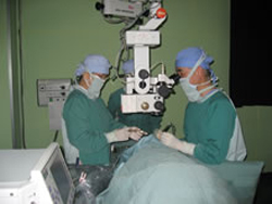 天井懸垂型手術用顕微鏡